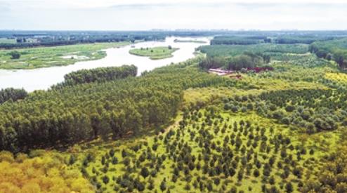 高質(zhì)量園林綠化扮靚京華 人均公園綠地16.6平米